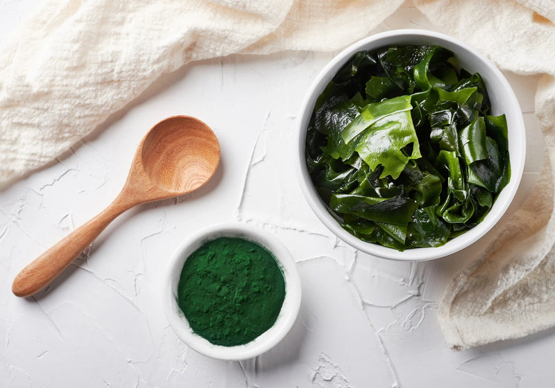 Algae & Biohacking: The Perfect Fall Wellness Combo
